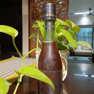 sundorboner chaker modhu সুন্দরবনের প্রাকৃতিক চাকের মধু